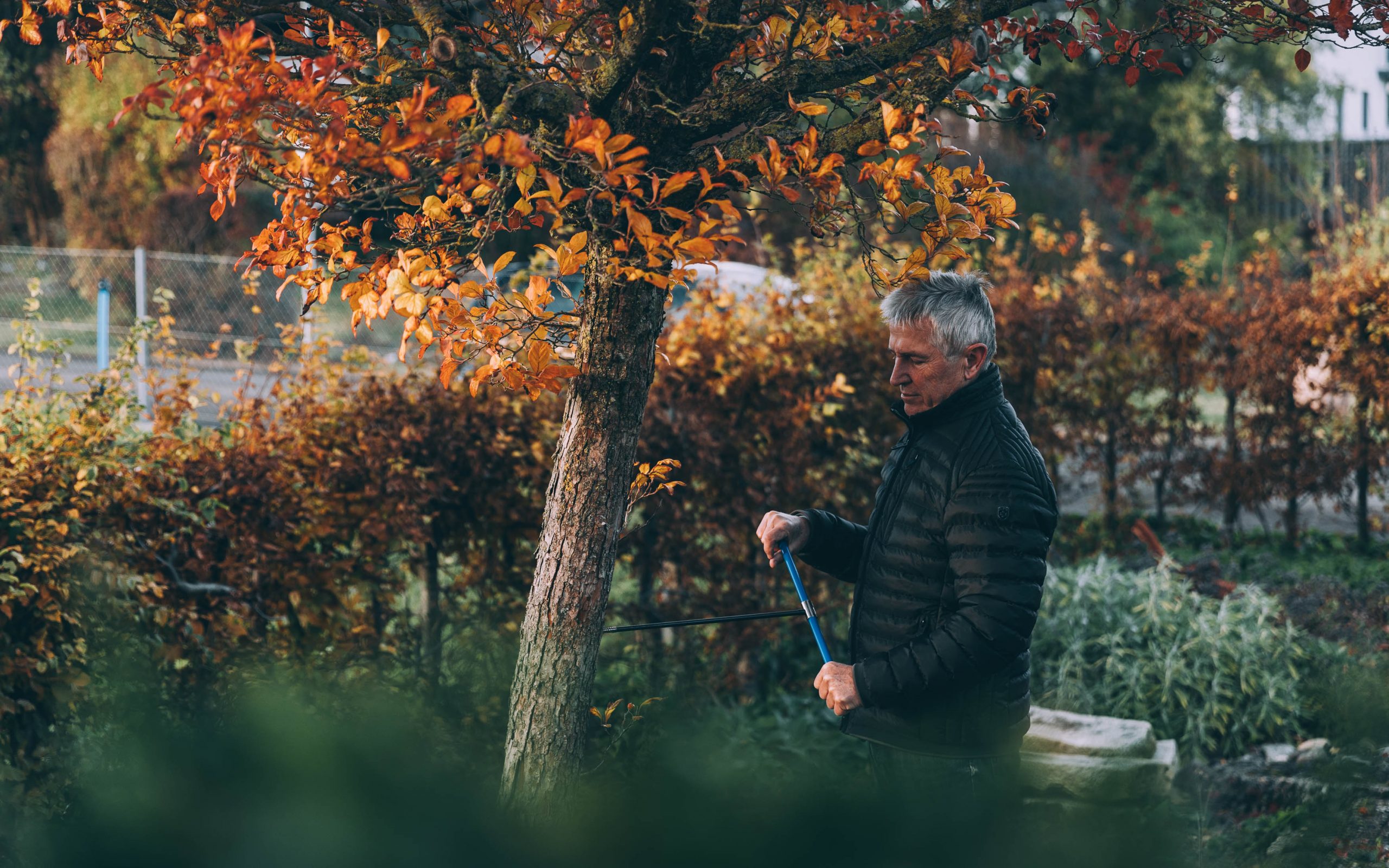 2025-Sachverstaendiger-Karl-Heinz-Gloeggler-Gutachter-Buero-019