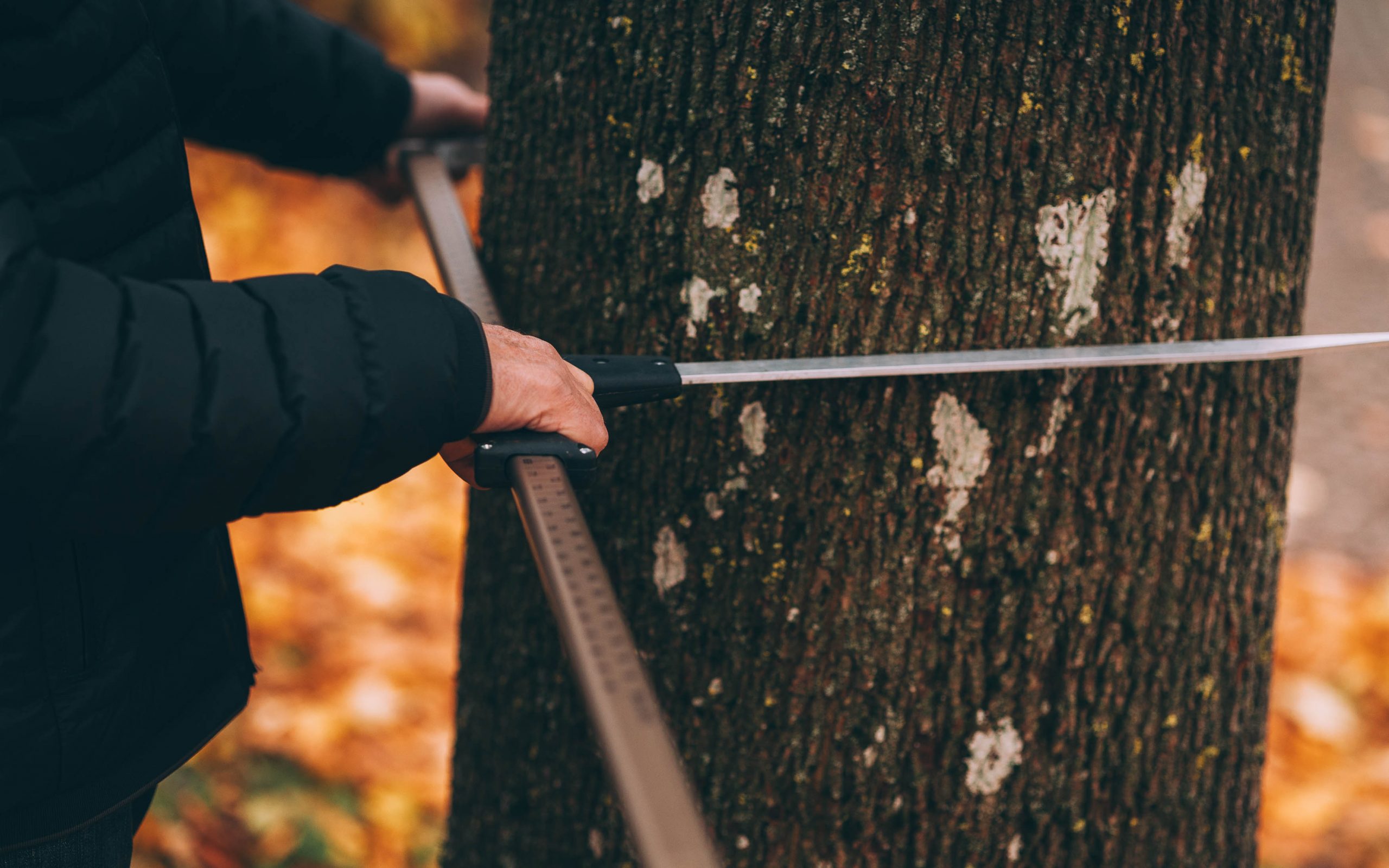 2025-Sachverstaendiger-Karl-Heinz-Gloeggler-Gutachter-Buero-045