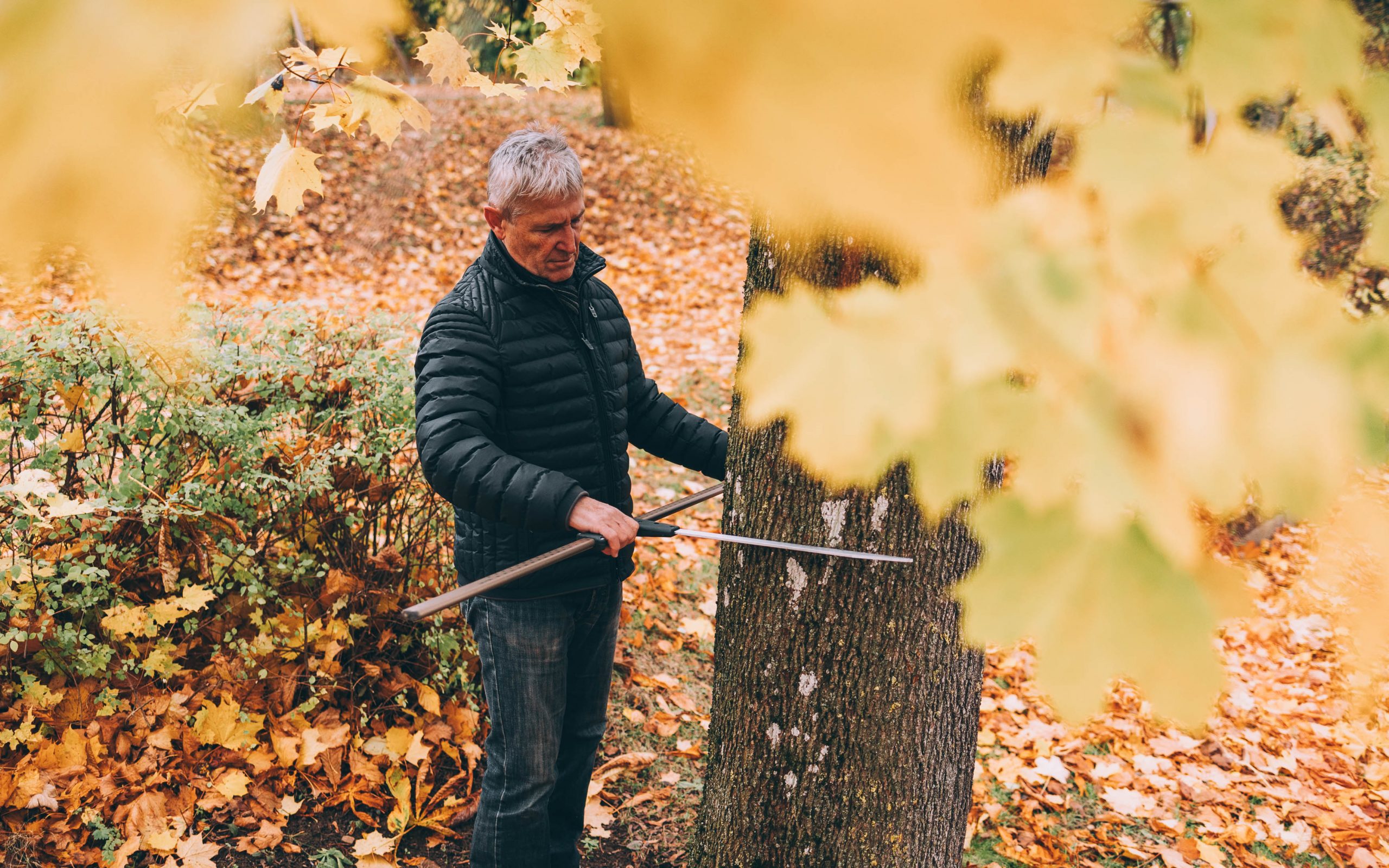 2025-Sachverstaendiger-Karl-Heinz-Gloeggler-Gutachter-Buero-046